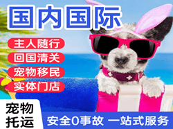 张掖甘州机场托运国际宠物托运 【国